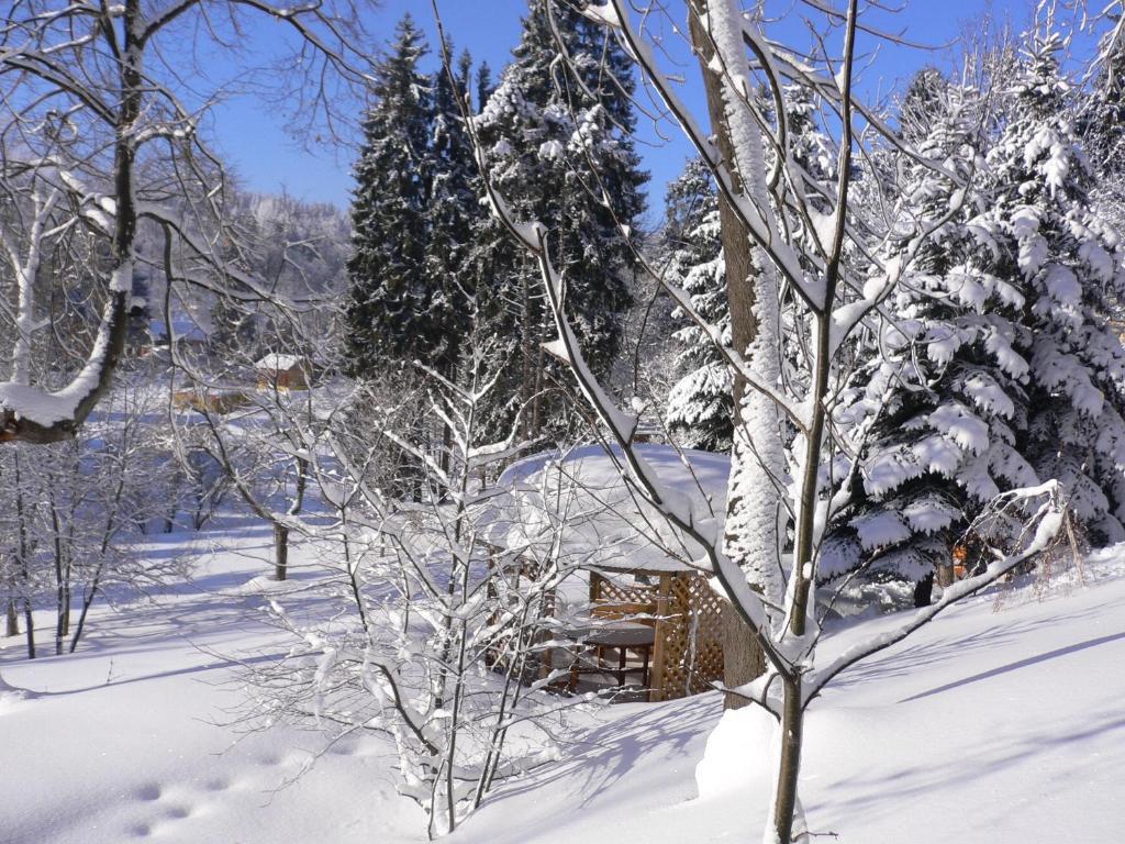 Hotel Villa Romantica Szklarska Poręba Εξωτερικό φωτογραφία